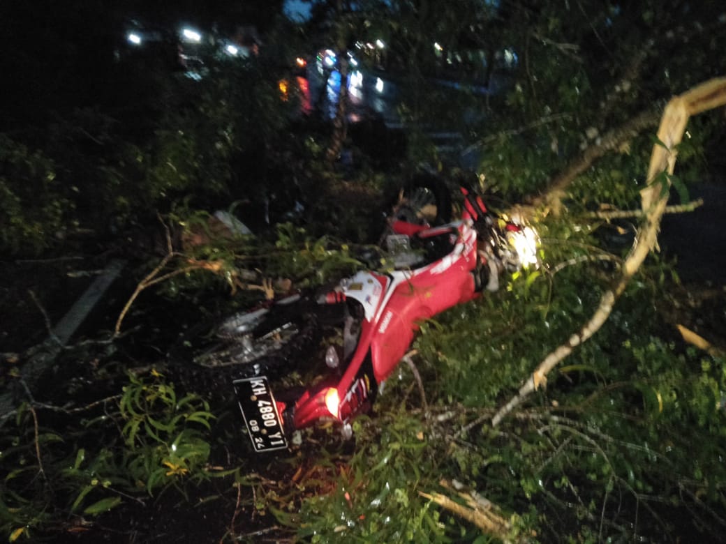 TEWAS - Pengendara motor dari arah Palangka Raya tewas usai menabrak pohon tumbang, Kamis (12/3) pagi. Foto : Ist