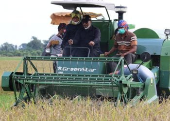 Panen Padi, Plt. Gubernur : Food Estate untuk Tingkatkan Kesejahteraan Petani