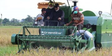 Panen Padi, Plt. Gubernur : Food Estate untuk Tingkatkan Kesejahteraan Petani