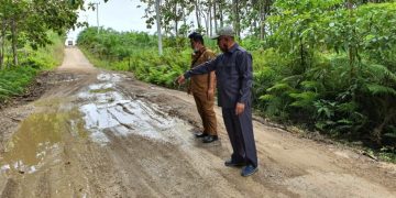 Legislator Barut Sebut Warga Beringin Jaya Berharap Perbaikan Jalan