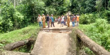 DPRD Barut Minta Pemkab Perbaiki Jembatan Siwau