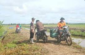 Infrastruktur Jalan Pertanian di Seruyan Minta Diperhatikan