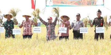 Raperda Cadangan Pangan Seruyan Dianggap Solusi Pemasaran Hasil Panen Padi
