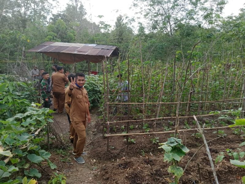 Camat Sumber Barito Indra Wijaya saat meninjau pertanian warga setempat, baru-baru ini. Foto : kpl