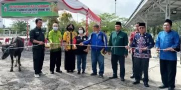 Pemkab Murung Raya Salurkan 20 Sapi Kurban ke Kecamatan