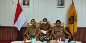 Dibahas Progres Pemerintah Daerah Dalam Melakukan Percepatan P3DN
